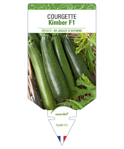 COURGETTE KIMBER F1