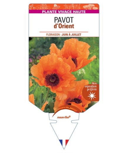 PAVOT D'ORIENT (orange) *