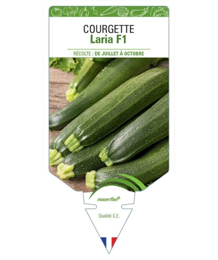 COURGETTE LARIA F1