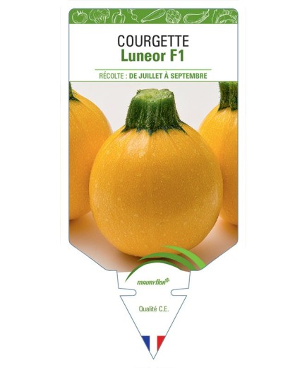 COURGETTE LUNEOR F1