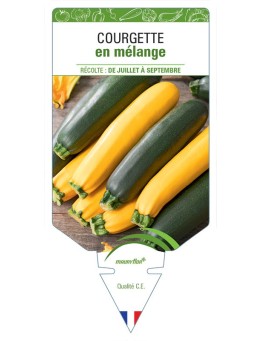 COURGETTE EN MÉLANGE