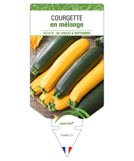 COURGETTE EN MÉLANGE