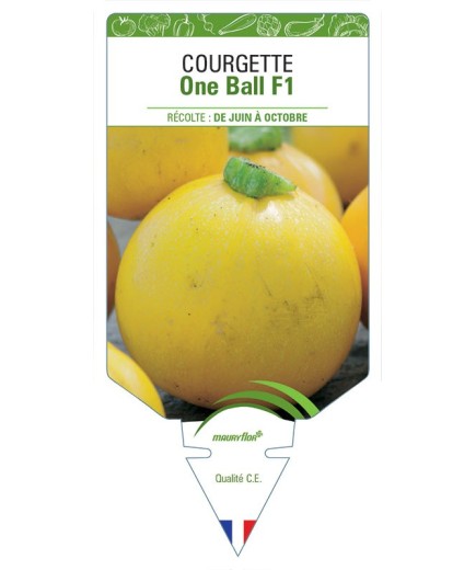 COURGETTE ONE BALL F1