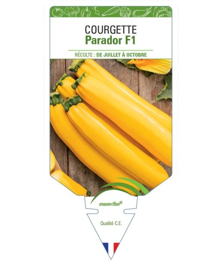 COURGETTE PARADOR F1