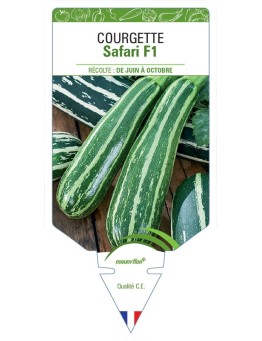 COURGETTE SAFARI F1