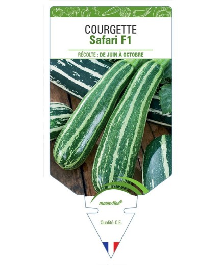 COURGETTE SAFARI F1