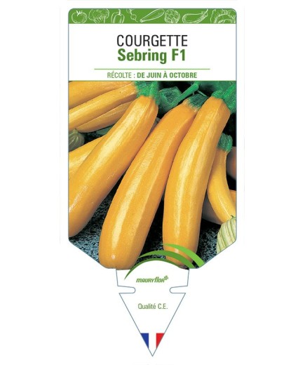 COURGETTE SEBRING F1