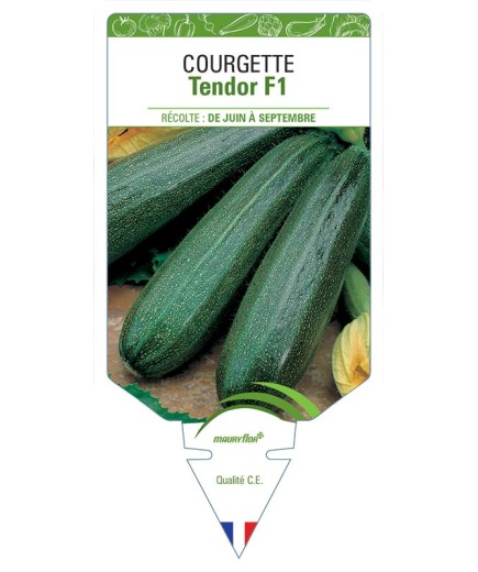 COURGETTE TENDOR F1