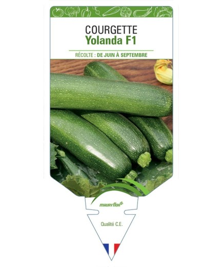 COURGETTE YOLANDA F1