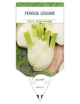 FENOUIL LÉGUME