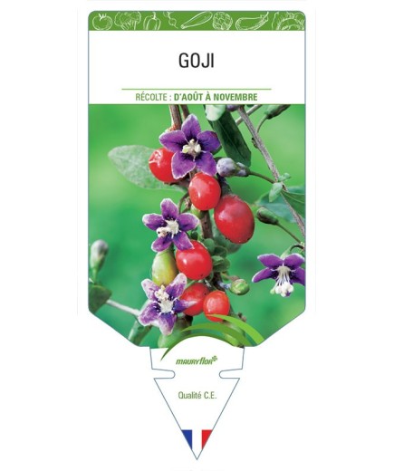 GOJI