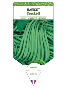 HARICOT CROCKETT