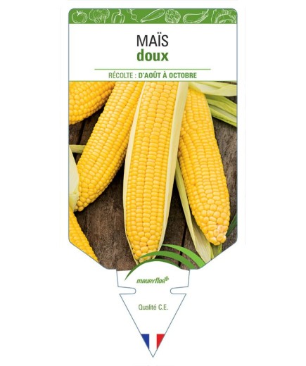 MAÏS DOUX