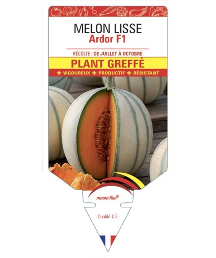 MELON ARDOR PLANT GREFFÉ