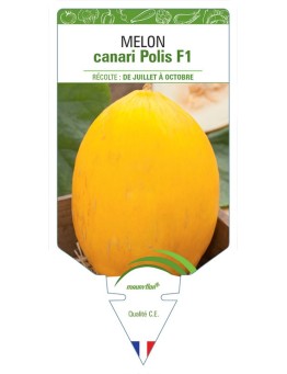 MELON CANARI POLIS F1