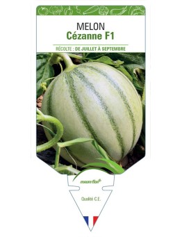 MELON CÉZANNE F1
