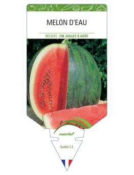MELON D'EAU