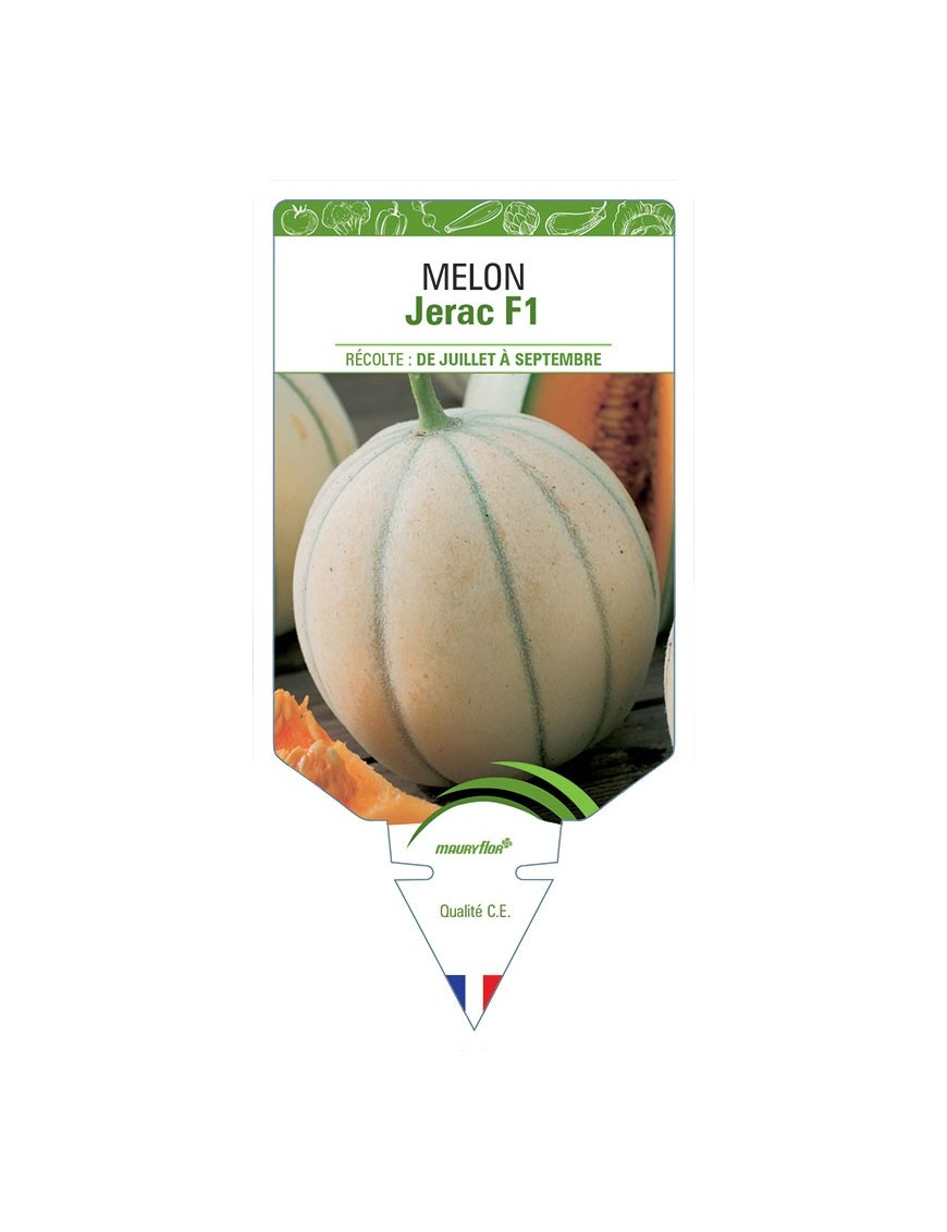 MELON JERAC F1
