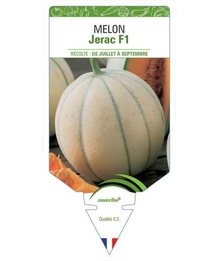 MELON JERAC F1