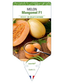 MELON MANGOMEL F1