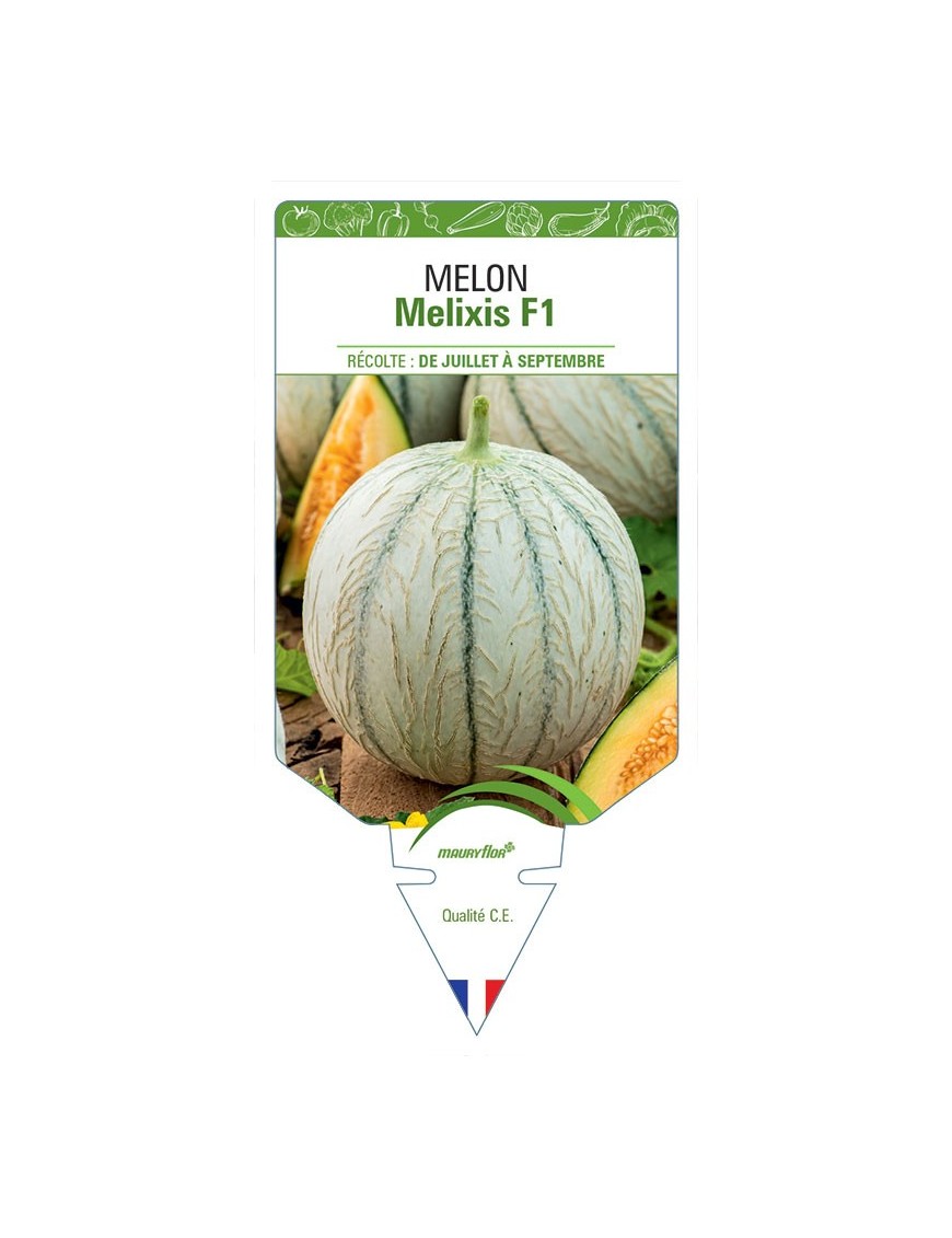 MELON MELIXIS F1