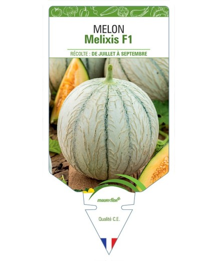 MELON MELIXIS F1