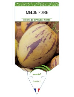 MELON POIRE