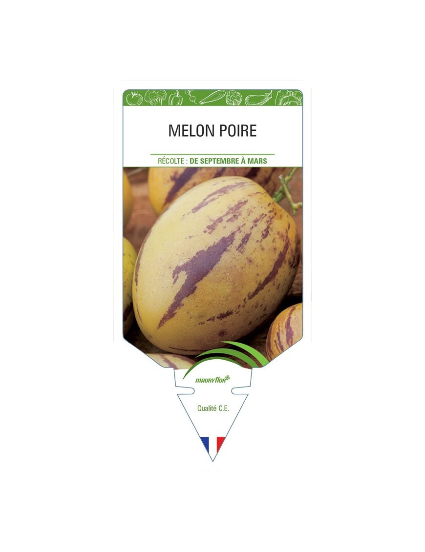 MELON POIRE