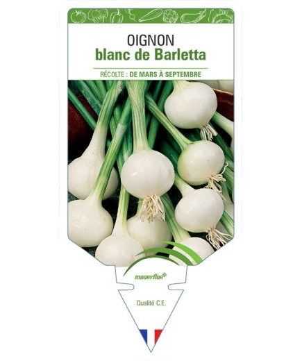 OIGNON BLANC DE BARLETTA