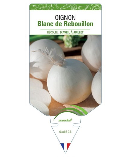 OIGNON BLANC DE REBOUILLON