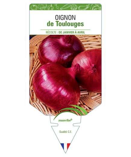 OIGNON DE TOULOUGES