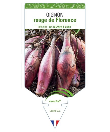 OIGNON ROUGE DE FLORENCE