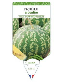 PASTÈQUE À CONFIRE