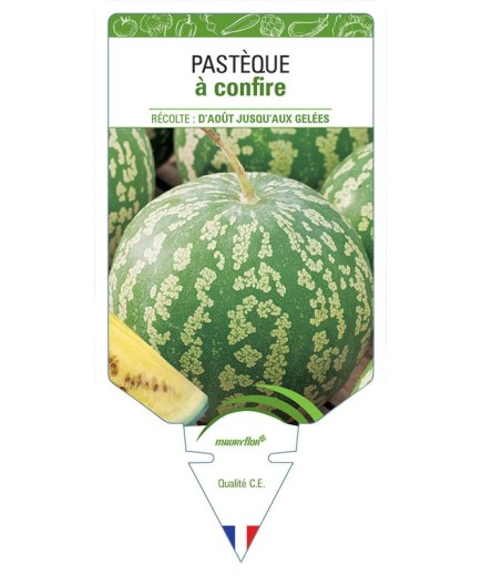 PASTÈQUE À CONFIRE