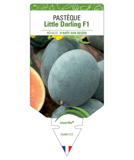 PASTÈQUE LITTLE DARLING F1