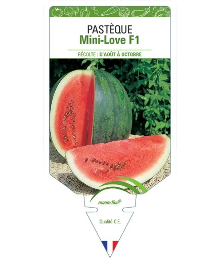 PASTÈQUE MINI-LOVE F1