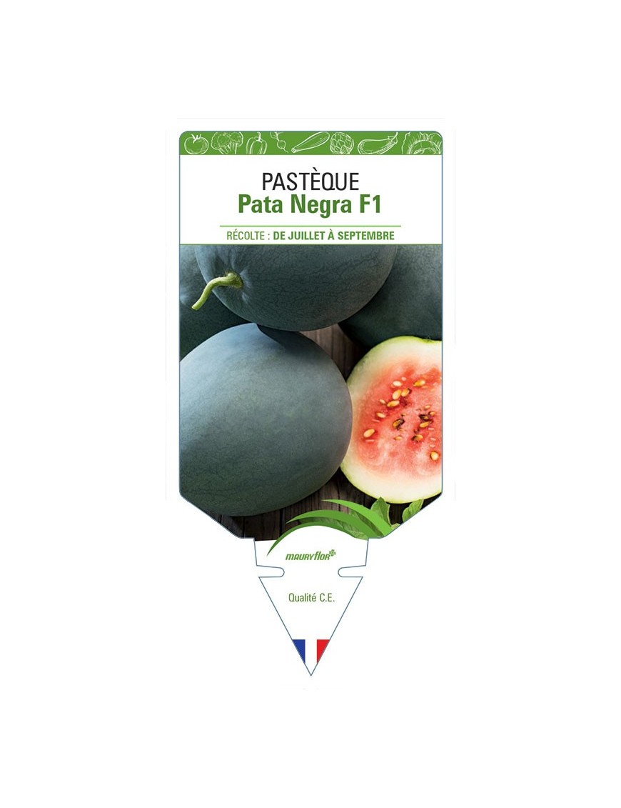 PASTÈQUE PATA NEGRA F1