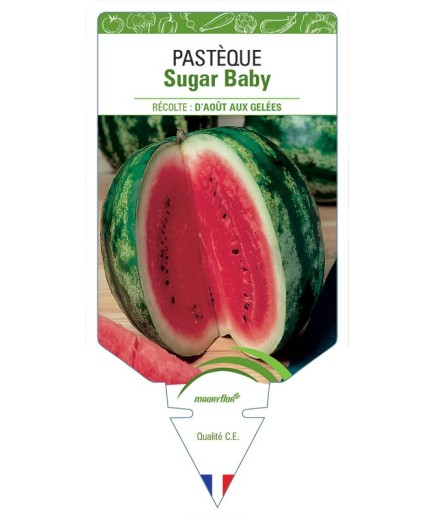 PASTÈQUE SUGAR BABY