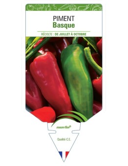 PIMENT BASQUE