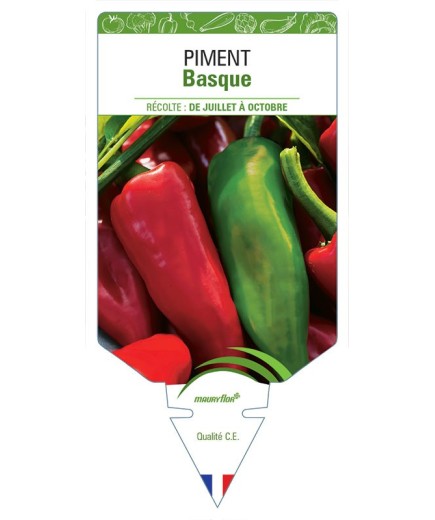 PIMENT BASQUE