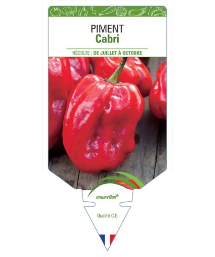PIMENT CABRI