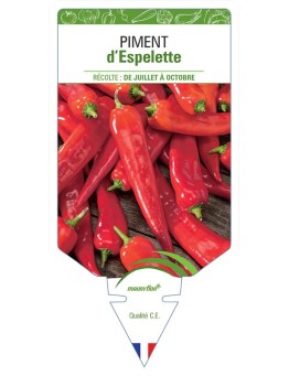 PIMENT D'ESPELETTE