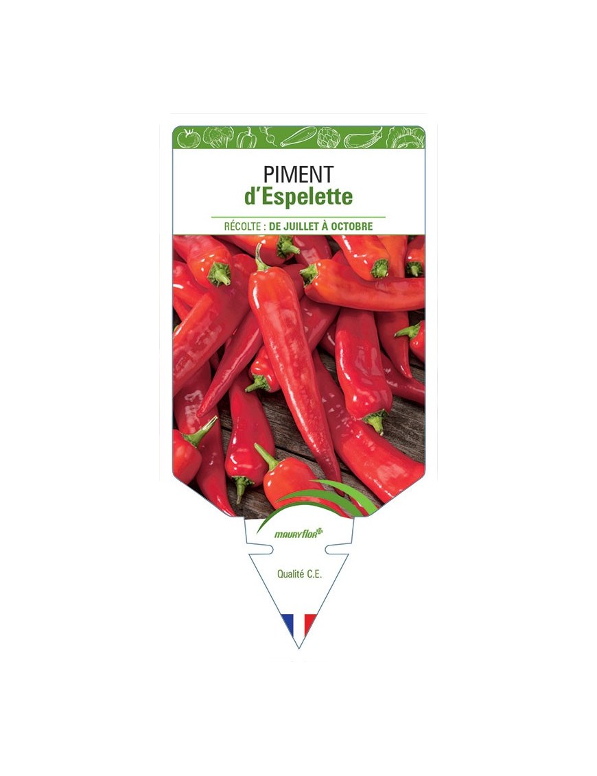PIMENT D'ESPELETTE