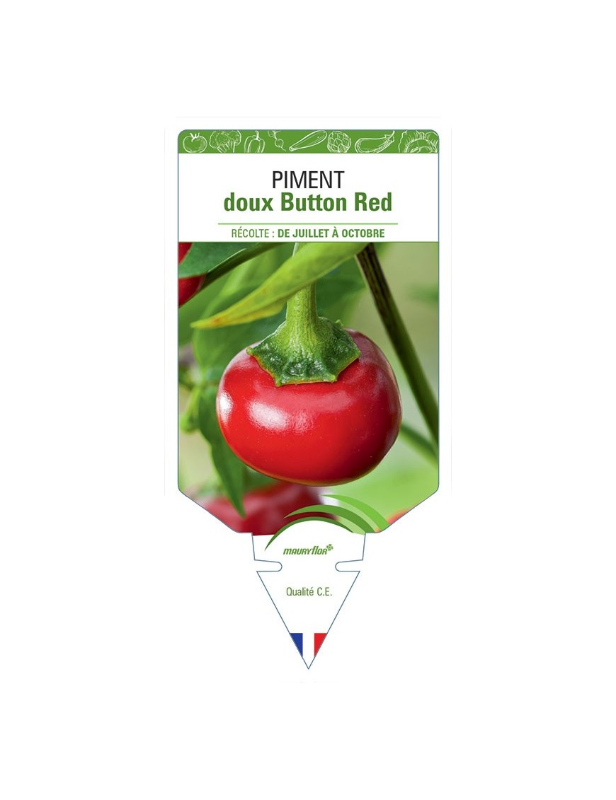 PIMENT DOUX BUTTON RED