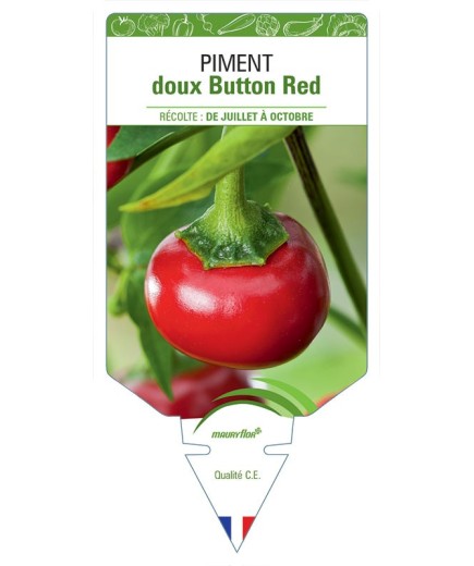 PIMENT DOUX BUTTON RED