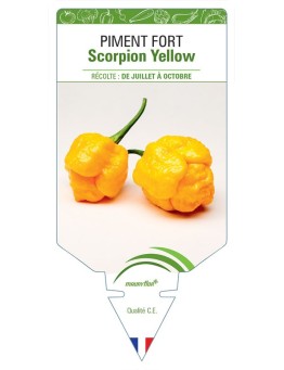 PIMENT FORT SCORPION YELLOW