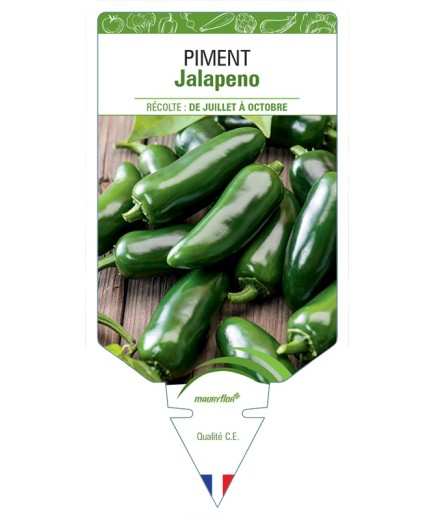 PIMENT JALAPENO
