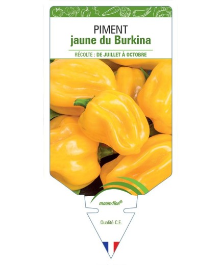 PIMENT JAUNE DU BURKINA