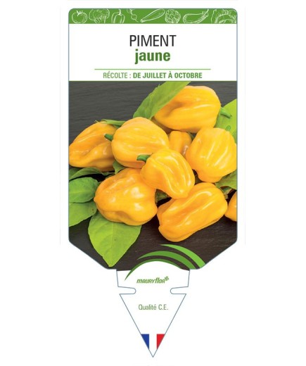 PIMENT JAUNE