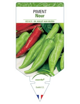 PIMENT NOUR
